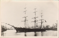Black Prince Фотооткрытка артикул 3436c.