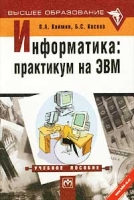 Информатика Практикум на ЭВМ Учебное пособие артикул 3273c.